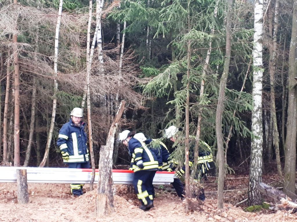 Tierrettung Katze auf Baum 2018 005