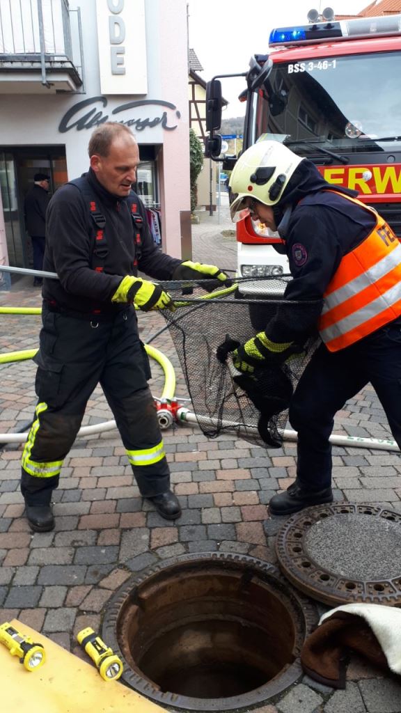 Tierrettung 2019 004