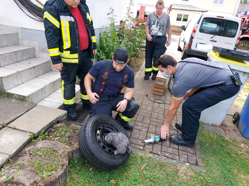 H 1 Tierrettung Katze in Stahlfelge 2021 005
