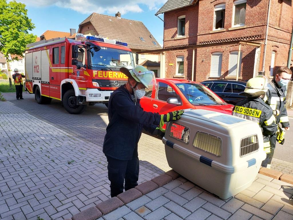 H 1 Tierrettung 2021 003