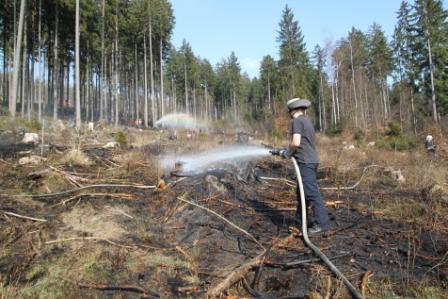 Waldbrand_2012-001