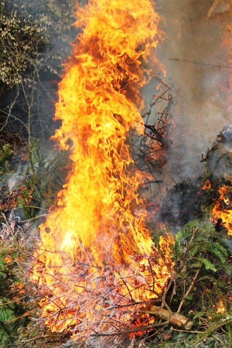 Weihnachtsbaum_brennt_2011-002