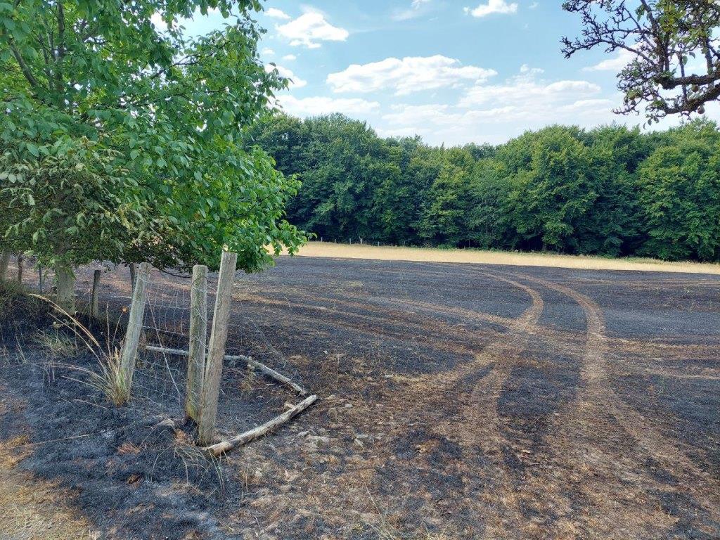 F 1 Flaechenbrand Feld 2022 003