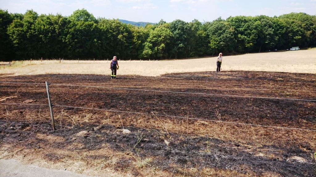 F 1 Flaechenbrand Feld 2022 018