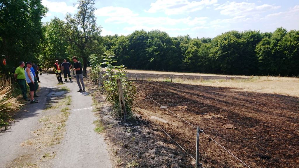 F 1 Flaechenbrand Feld 2022 019