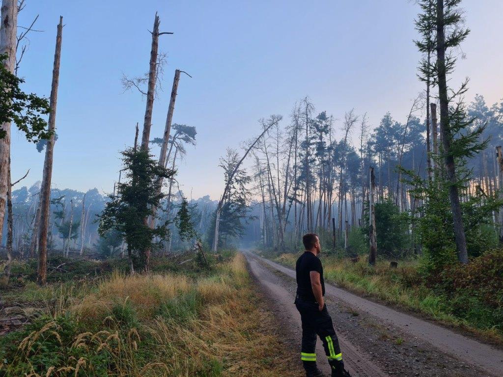 F 2 Wald Ausbreitung 2022 015