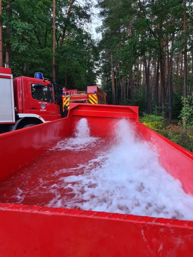 F 2 Wald Ausbreitung 2022 018