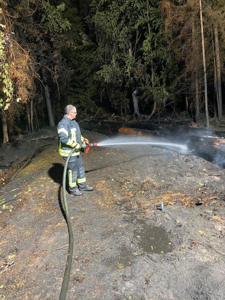 F 2 Wald Ausbreitung 2022 025