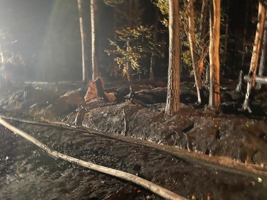 F 2 Wald Ausbreitung 2022 026