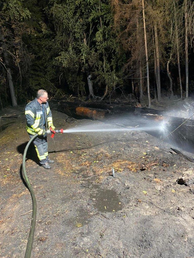 F 2 Wald Ausbreitung 2022 027