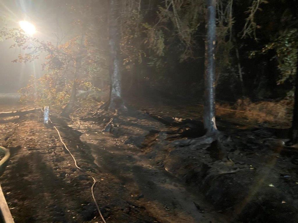 F 2 Wald Ausbreitung 2022 028