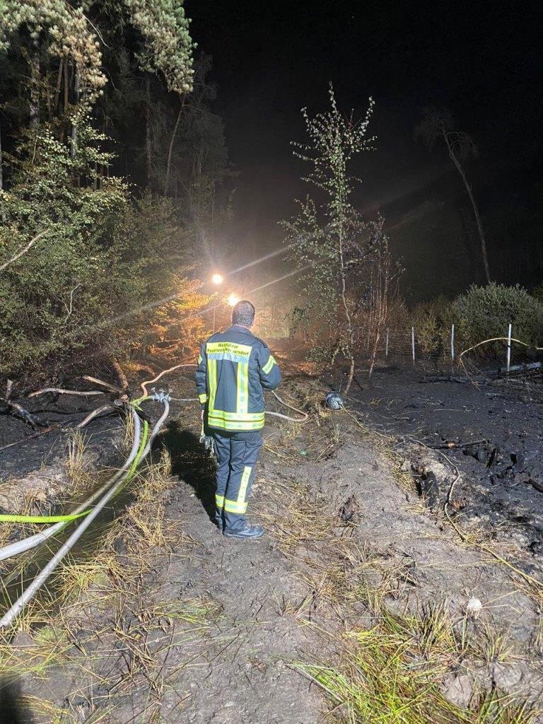 F 2 Wald Ausbreitung 2022 030