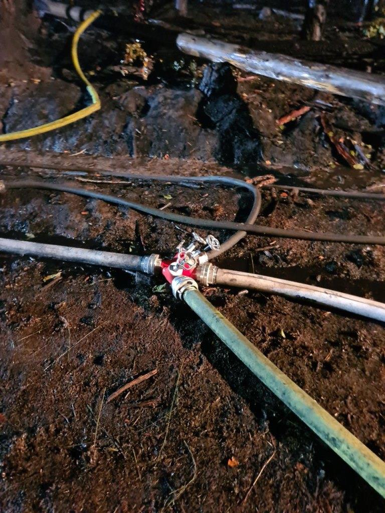 F 2 Wald Ausbreitung 2022 033