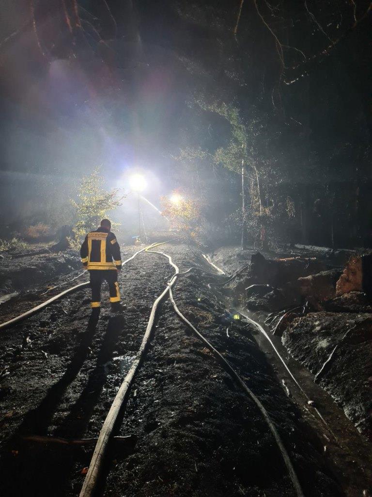 F 2 Wald Ausbreitung 2022 035
