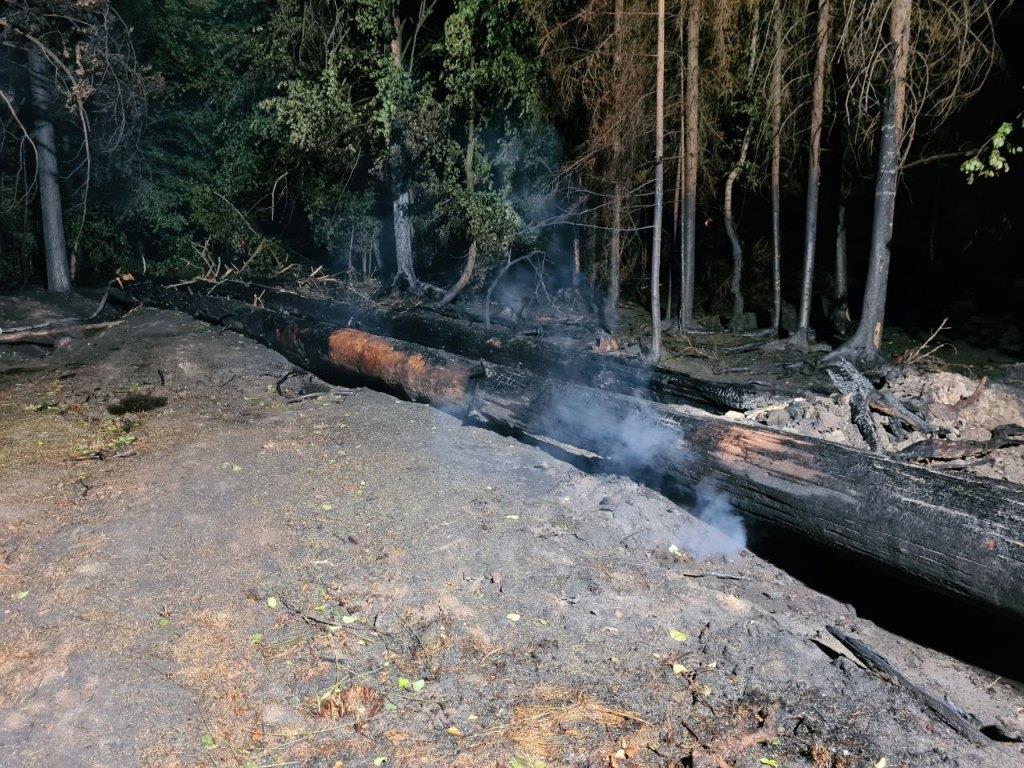 F 2 Wald Ausbreitung 2022 037