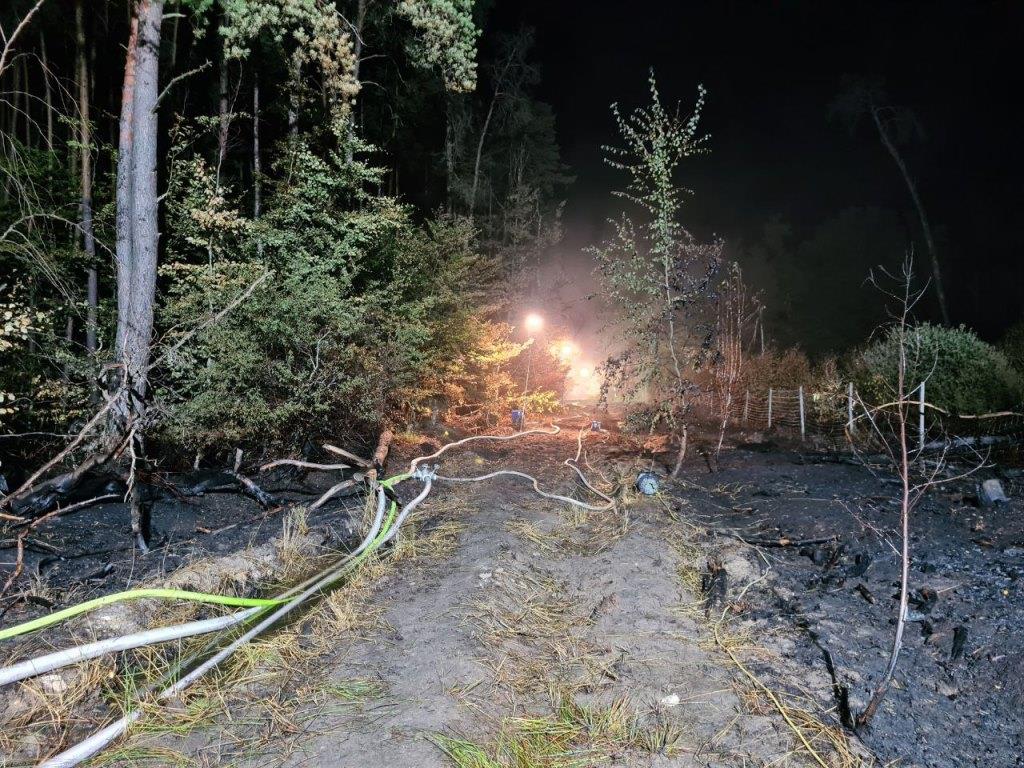 F 2 Wald Ausbreitung 2022 040