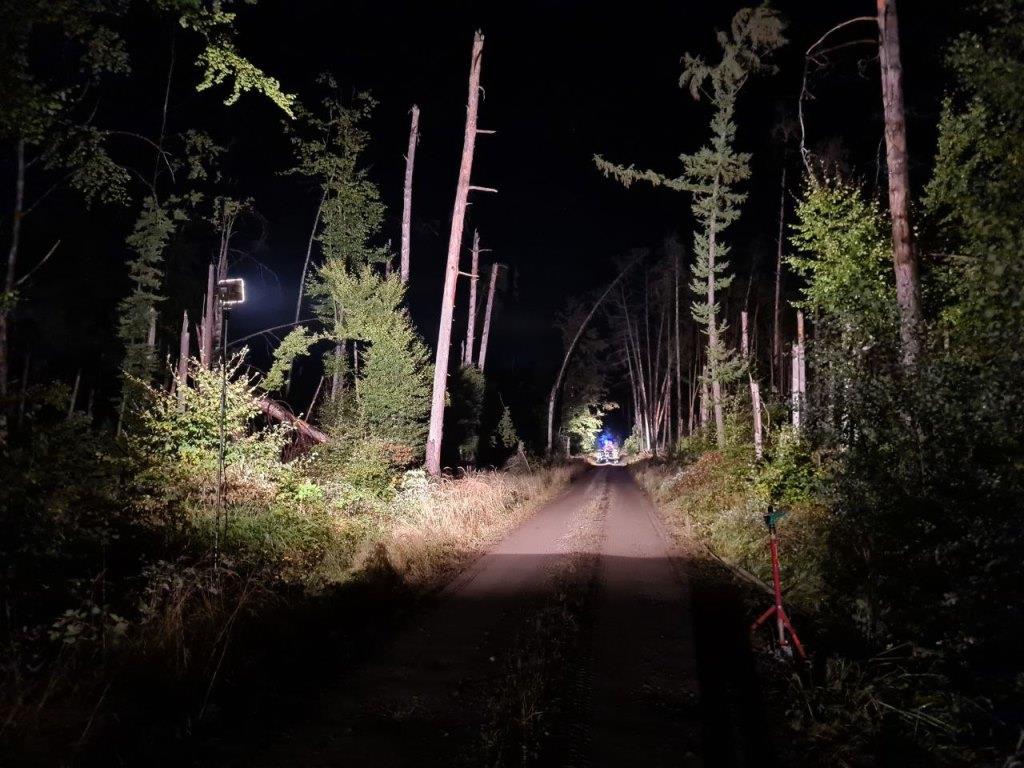 F 2 Wald Ausbreitung 2022 041
