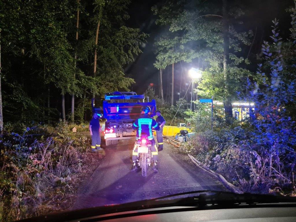 F 2 Wald Ausbreitung 2022 045