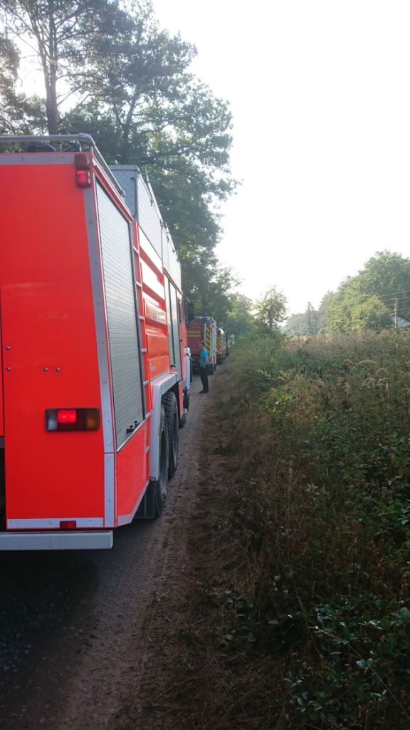 F 2 Wald Ausbreitung 2022 051