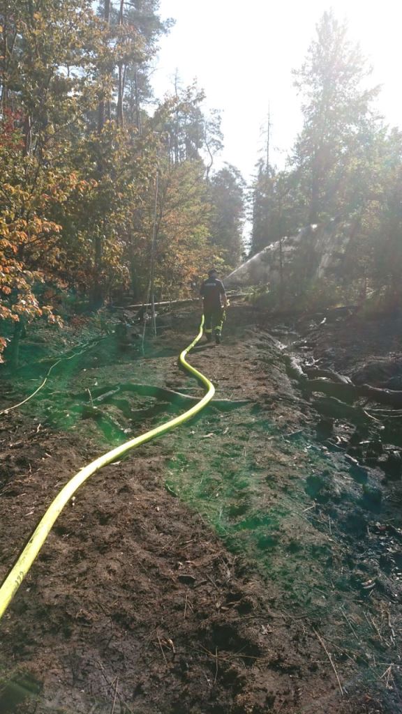 F 2 Wald Ausbreitung 2022 054