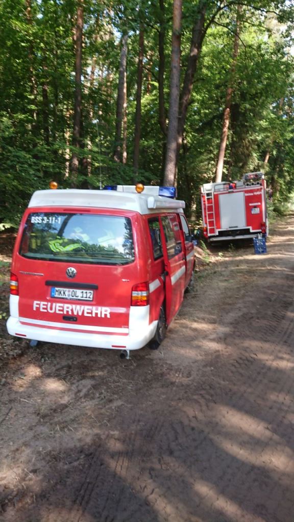 F 2 Wald Ausbreitung 2022 056