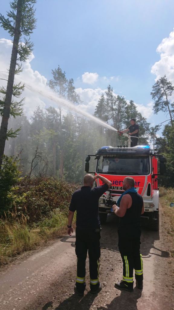 F 2 Wald Ausbreitung 2022 059
