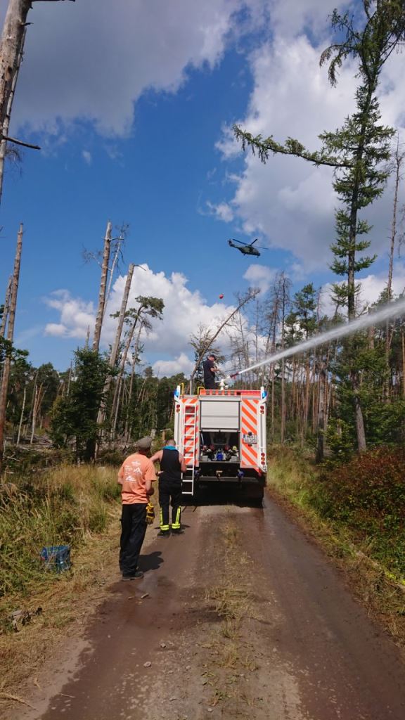 F 2 Wald Ausbreitung 2022 060