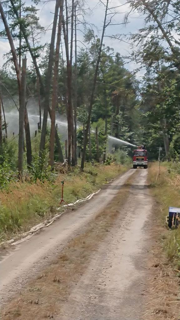 F 2 Wald Ausbreitung 2022 061