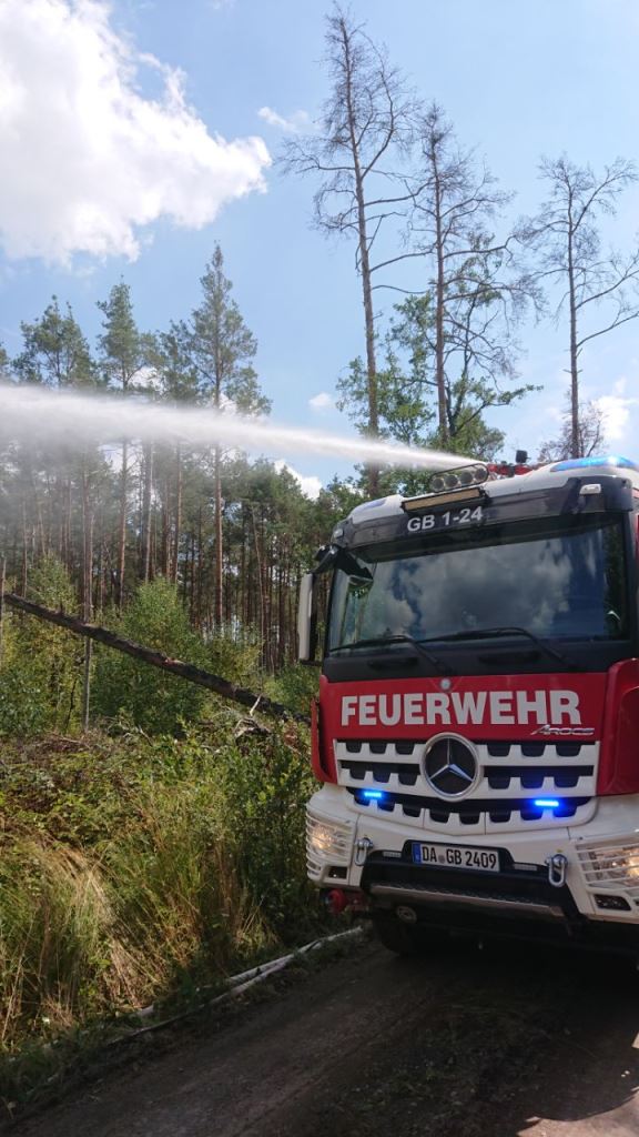 F 2 Wald Ausbreitung 2022 062