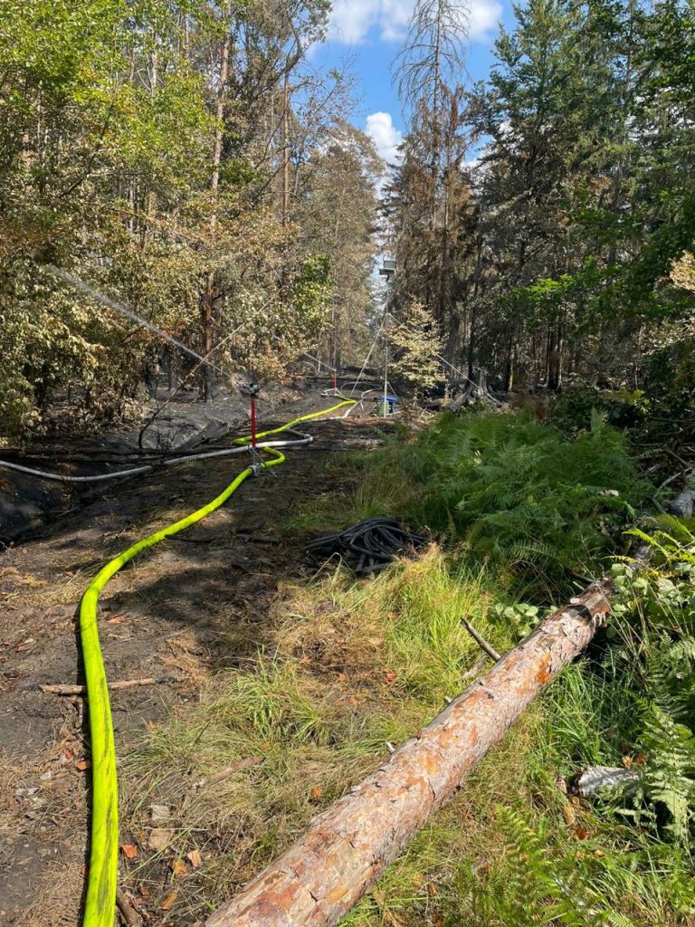 F 2 Wald Ausbreitung 2022 064