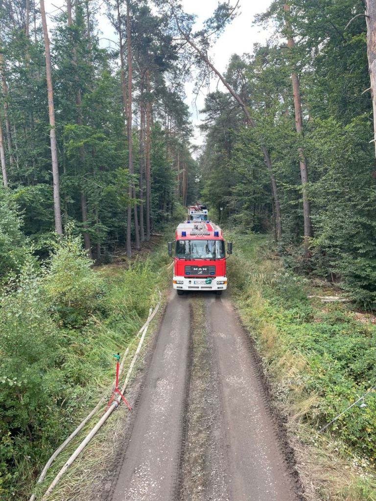 F 2 Wald Ausbreitung 2022 065