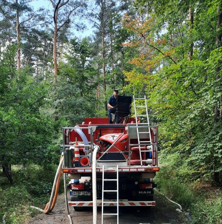 F 2 Wald Ausbreitung 2022 072