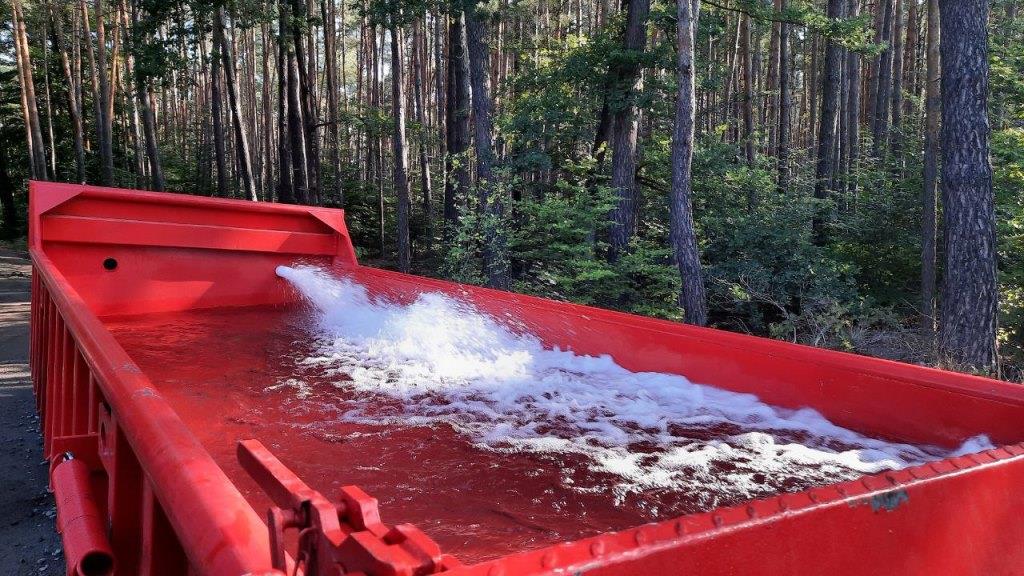 F 2 Wald Ausbreitung 2022 075