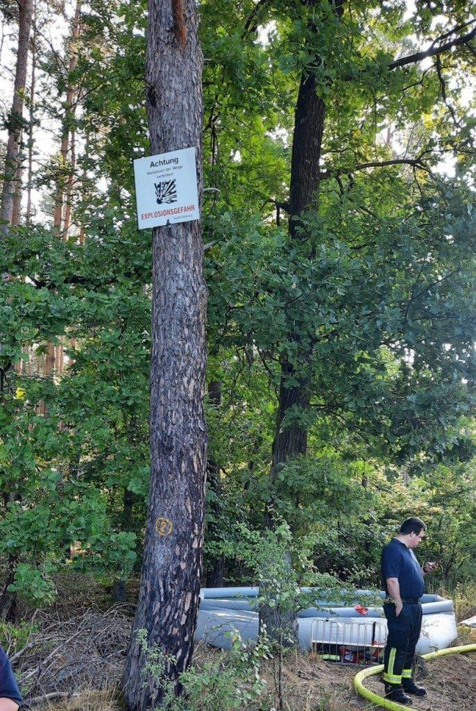 F 2 Wald Ausbreitung 2022 076