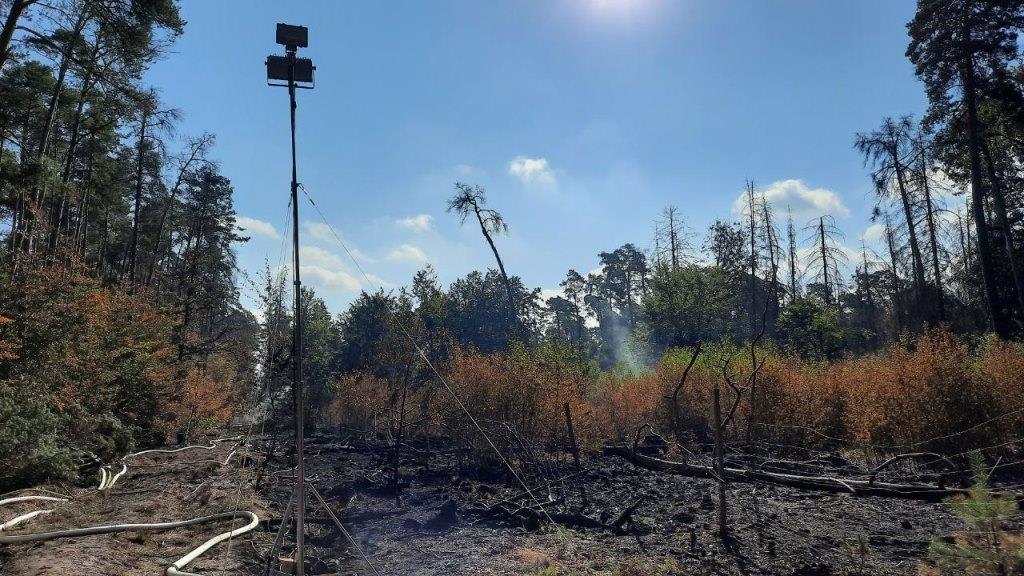 F 2 Wald Ausbreitung 2022 079
