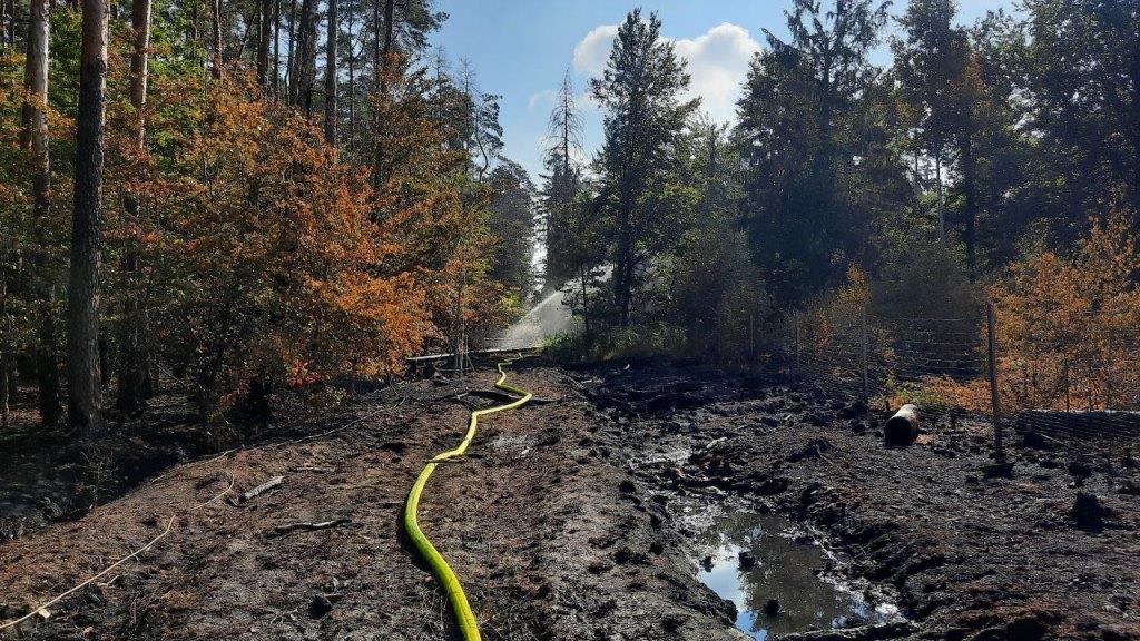 F 2 Wald Ausbreitung 2022 080