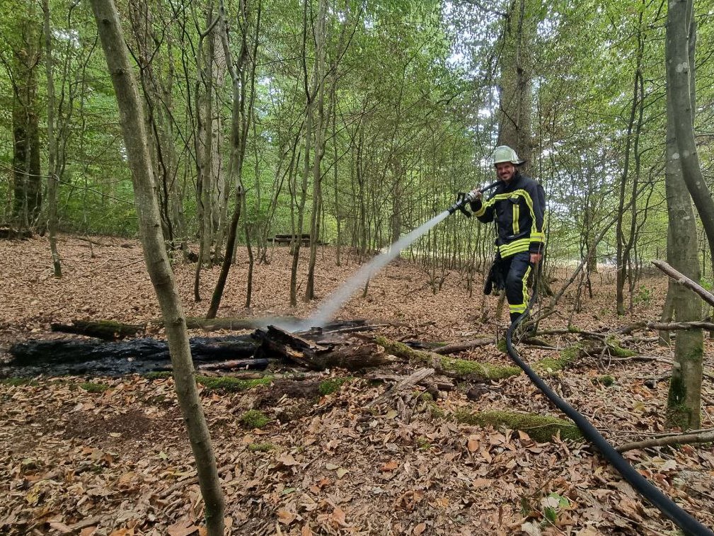 F WALD 1 Lage unklar 2022 002
