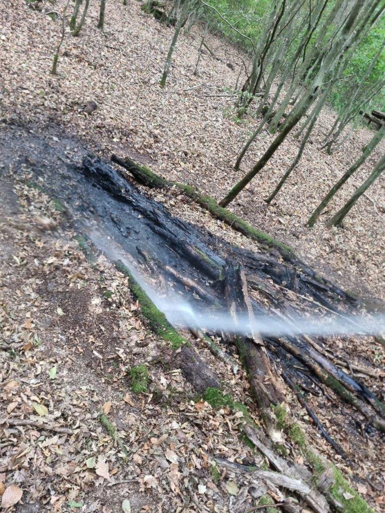 F WALD 1 Lage unklar 2022 004