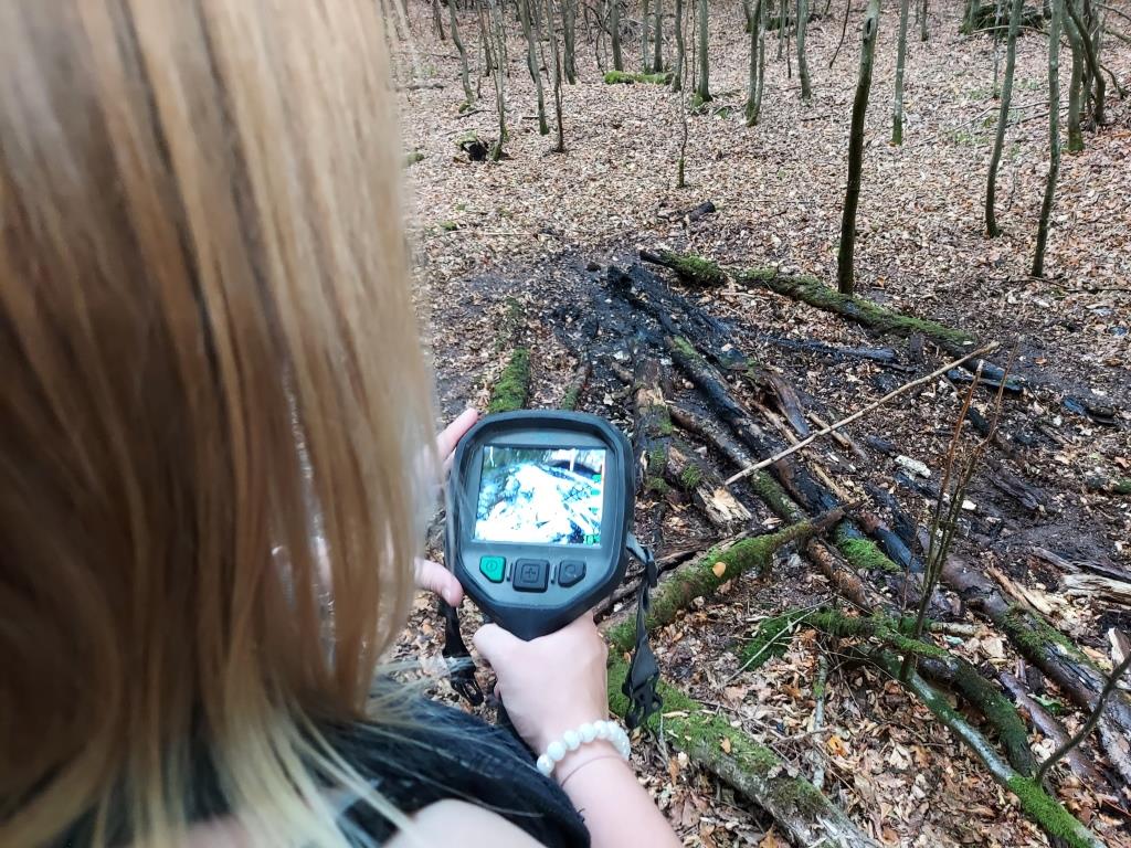 F WALD 1 Lage unklar 2022 006