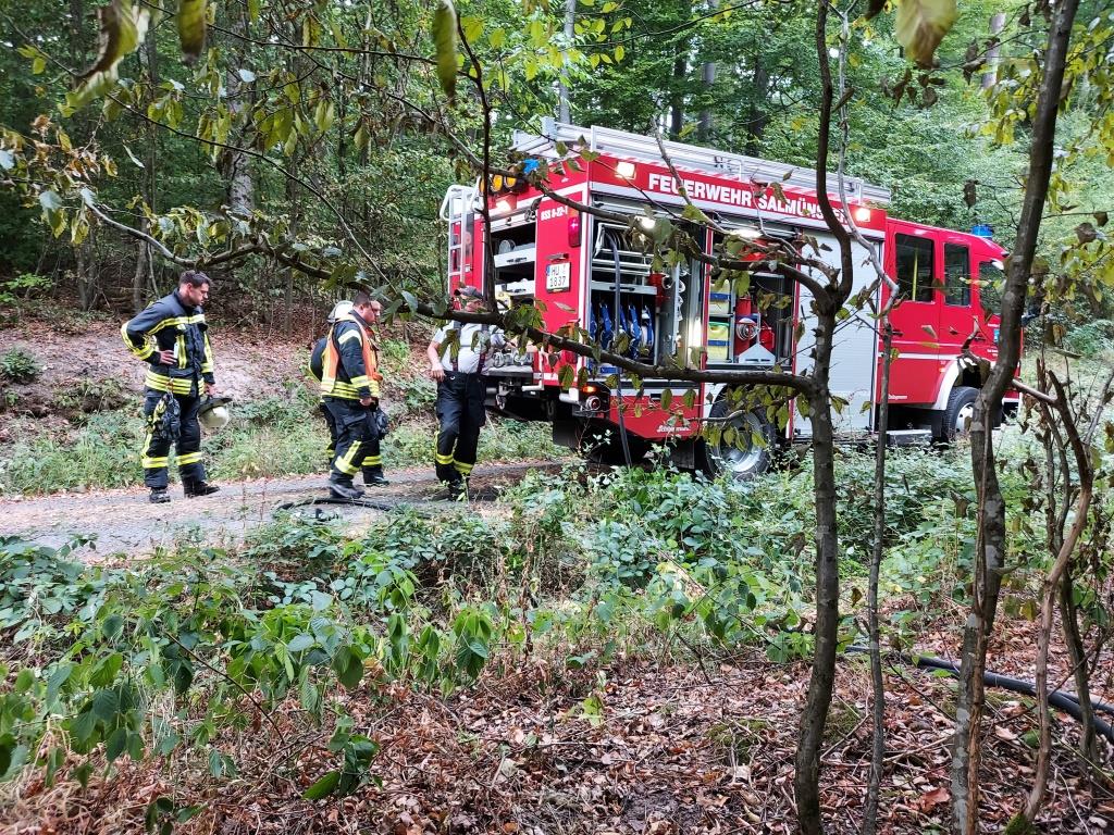 F WALD 1 Lage unklar 2022 008