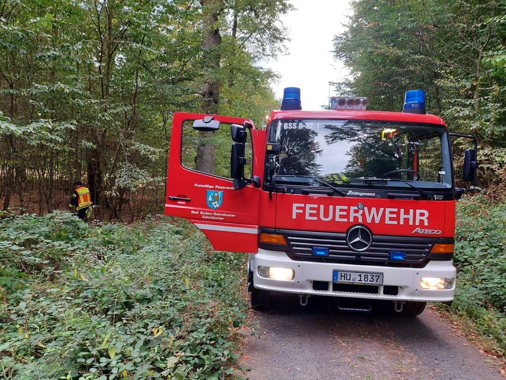 F WALD 1 Lage unklar 2022 009