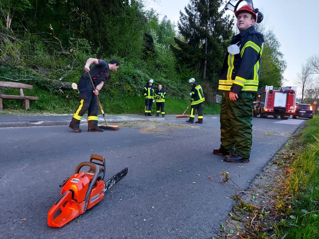 H 1 Droht Baum zu fallen 2022 009
