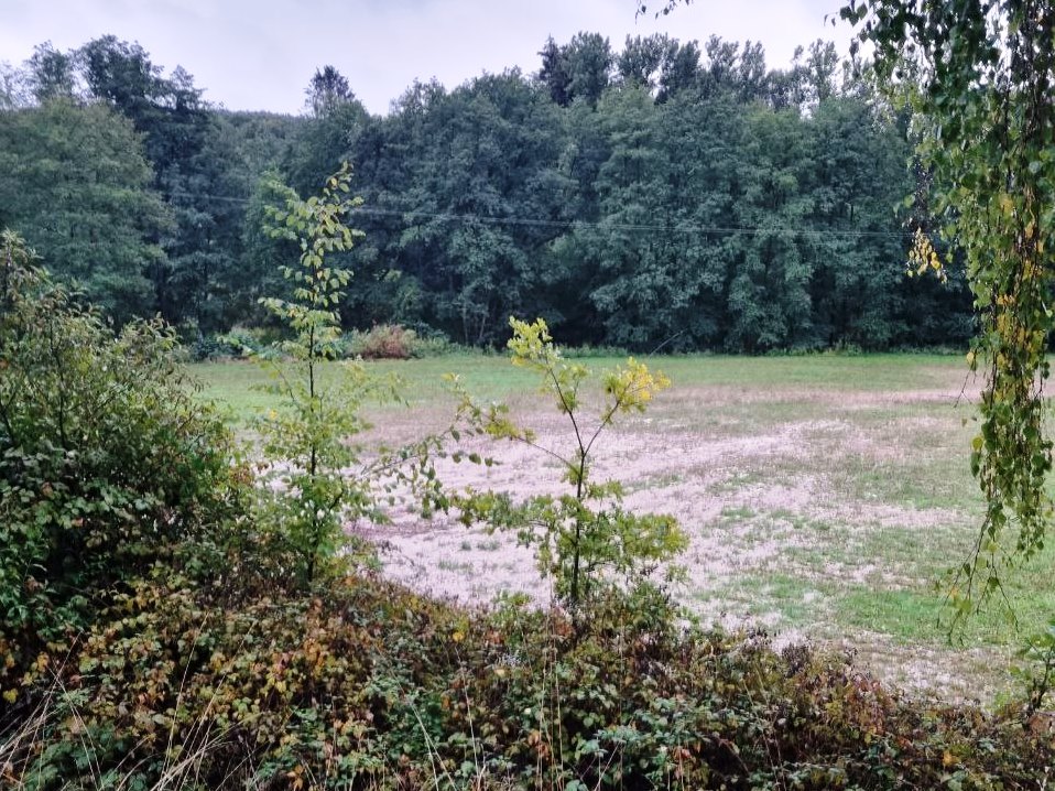H 1 Schlamm auf Strasse 2022 002
