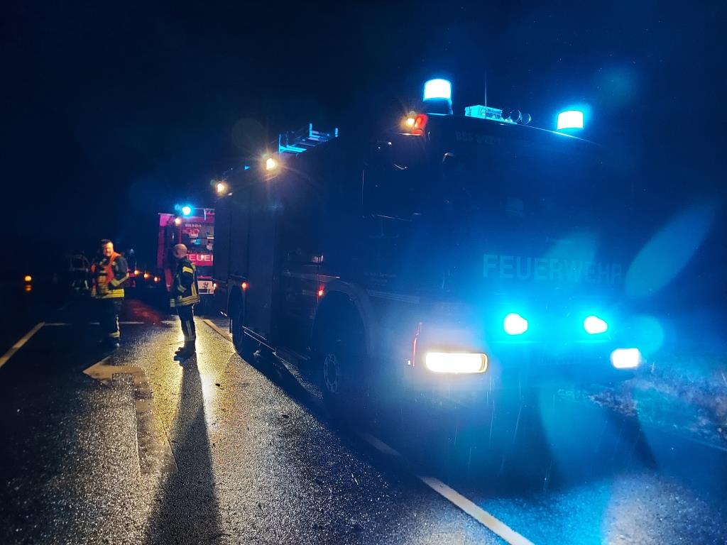 H 1 Baum auf Strasse 2023 021