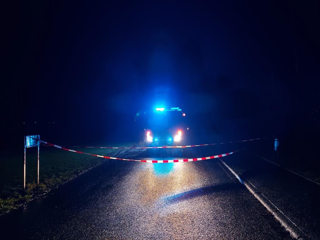 H 1 Baum auf Strasse 2023 031