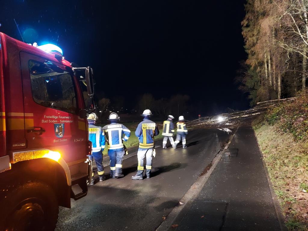 H 1 Baum auf Strasse 2023 033