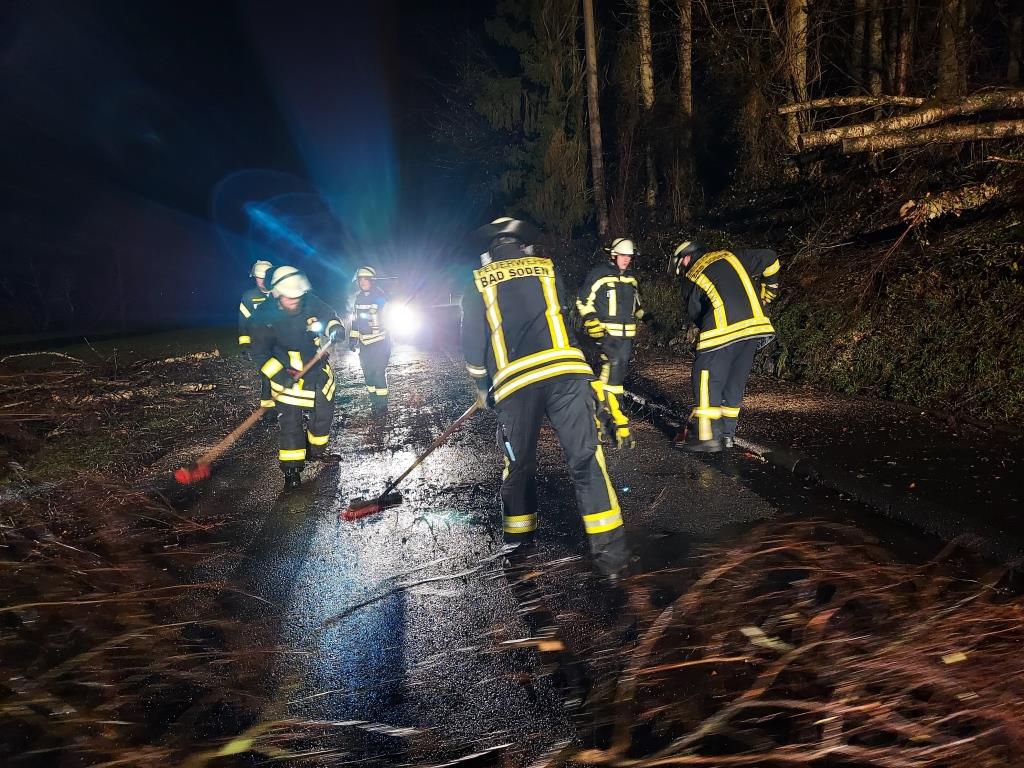 H 1 Baum auf Strasse 2023 034