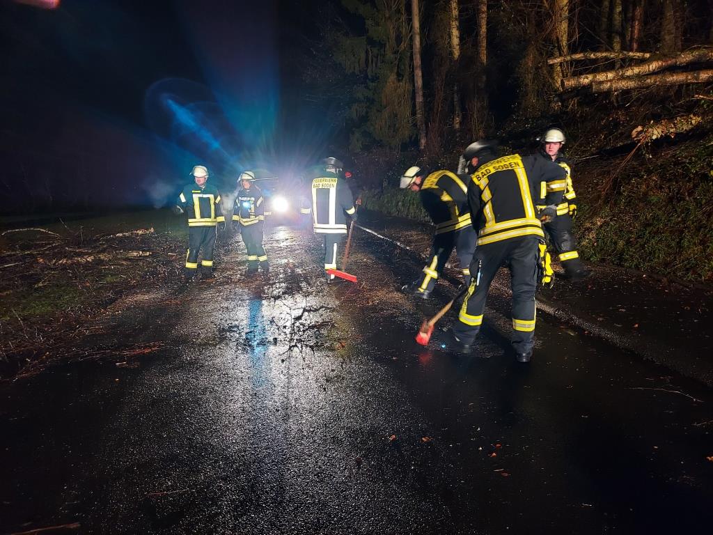 H 1 Baum auf Strasse 2023 035