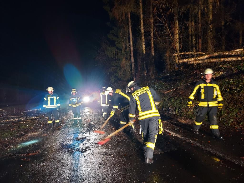 H 1 Baum auf Strasse 2023 036