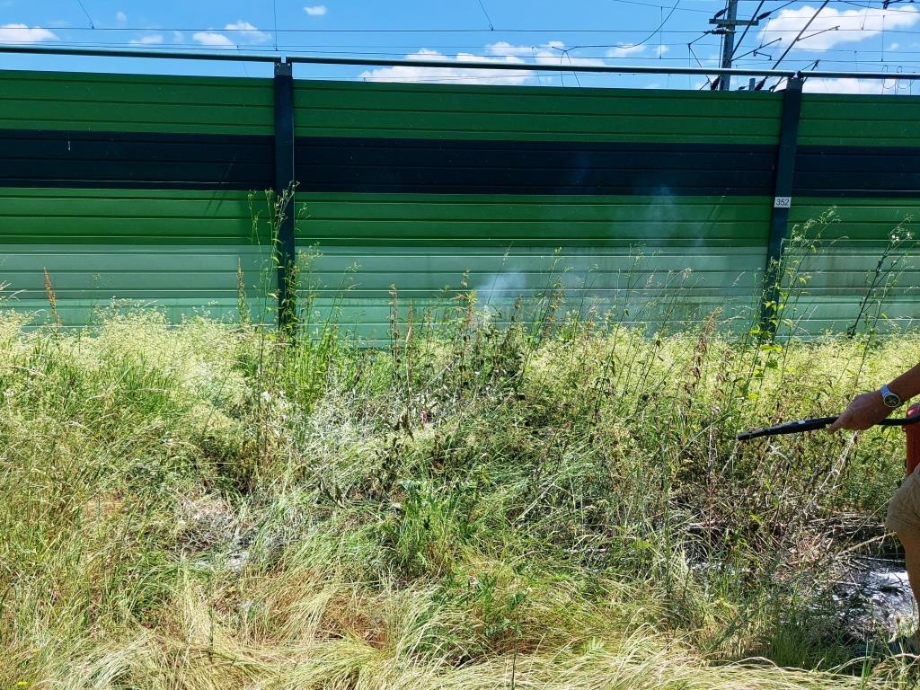 F 1 Kleinbrand Vegetation 2024 001